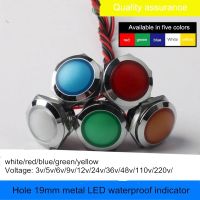 2pcs Dia 19mm Waterproof Metal Spherical Round Indicator Signal Lamp With 15cm Wire LED Red Yellow Blue Green White 12V 24V 220V