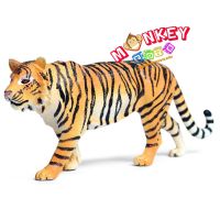 Monkey Toys - โมเดลสัตว์ Tiger เสือโคร่ง ขนาด 15.00 CM (จากหาดใหญ่)