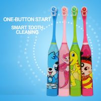 ❦☎◇ High Quality Eco Friendly Oral Care Factory Battery Charge Tooth Brush Powered Vibrate Automatic Sonic Electric Toothbrush