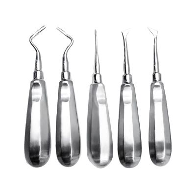 Dental Elevator Stainless Steel Teeth Elevator Tooth Extraction Stright Curved Root Elevator Dental Instrument Dental Materials