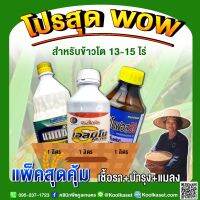 ชุดป้องกันและกำจัดแมลง เชื้อรา และบำรุงข้าวโต 13-15ไร่  รักษาโรคใบไหม้ เมล็ดด่าง หนอน เพลี้ย และบำรุงข้าวติดดอกดก ออกรวงดี คูลเกษตร