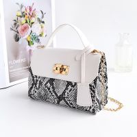 ZZOOI Foreign Trade Bag Female 2022 New Trendy Fashion Texture Snake Pattern Small Square Handbag Chain Messenger Handmade Bag