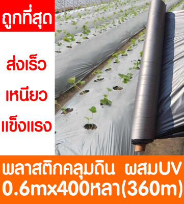 *ค่าส่งถูก* พลาสติกคลุมดิน 0.6ม.x400หลา(360ม) พลาสติกคลุมแปลง พลาสติกดำ/เงิน พลาสติกกันวัชพืช กันวัชพืช ปลูกผัก ปลูกผลไม้ เกรดAผสมUV(ไม่เจาะร