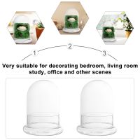 Dome Glass Display Cloche Bell Jarflower Terrarium Caseplant Preserved Planterbase Clear Cover Succulent Garden Bottle Vase