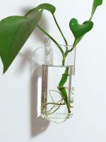 Wall hanging hydroponic green flower vase square column shaped column transparent glass modern home decoration room decoration