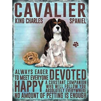 Retro Cavalier King Charles Spaniel Dog ป้ายโลหะ-ตกแต่งผนังสัตว์ที่สมบูรณ์แบบ-ภาพวาดเหล็กสำหรับบ้านและสวน