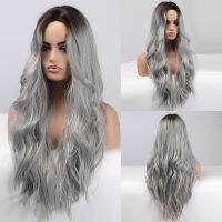 ALAN EATON Long Wavy Silver Gray Ash Wigs with Highlights Middle Part Synthetic Hair Wigs for Women Cosplay Party Heat Resistant