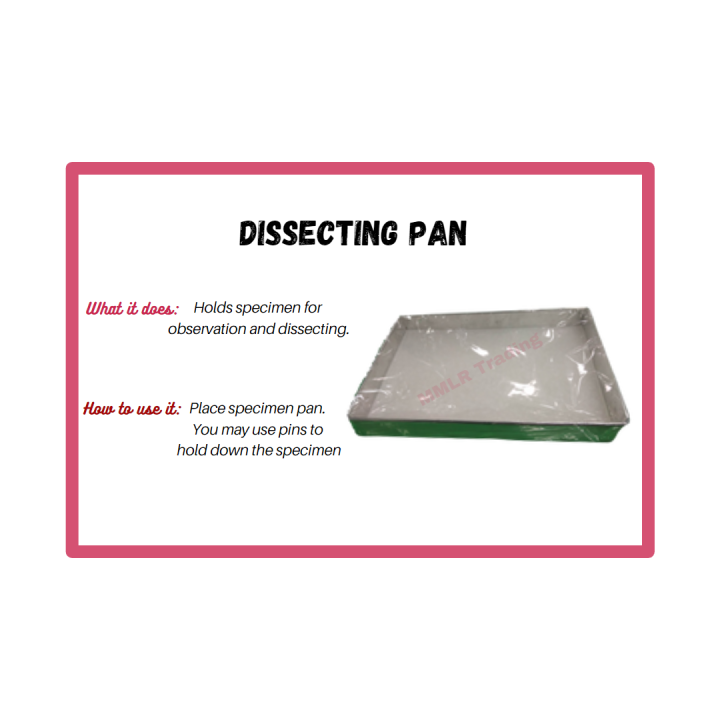 Dissecting Pan Lazada PH