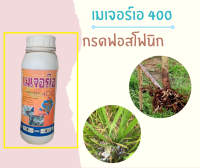 เมเจอร์เอ 400 ราหลุม