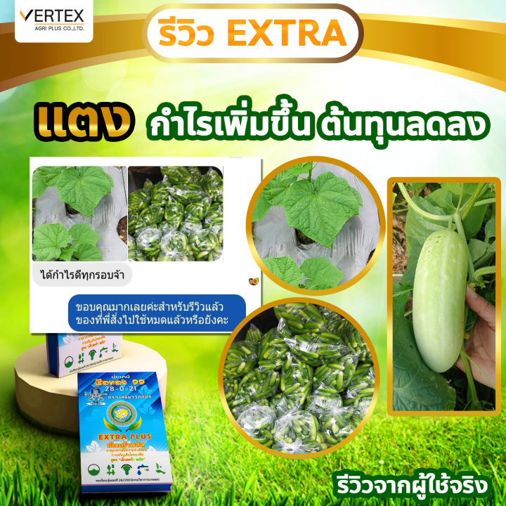 extra-plus-เเอ็กตร้าพลัส-ฮอร์โมนพืช-อาหารเสริมพืช-เร่งผลผลิต-เร่งใบ-เร่งดอก-โตไว-แข็งแรง-ปลอดภัยไร้สารพิษ-6-ซอง-เล็ก