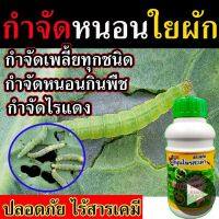 ?ไร้สารเคมี? กำจัดหนอนชอนใบได้เด็ดขาด ประสิทธิภาพสูง สารกำจัดแมลง น้ำสะเดา 500 ซีซี กำจัดเพลี้ยไฟ ยากำลังจัดแมลงในข้าว ยากำจัดหนอน ยาฆ่าเพลี้ย สมุนไพรธรรมชาติ ไล่ได้