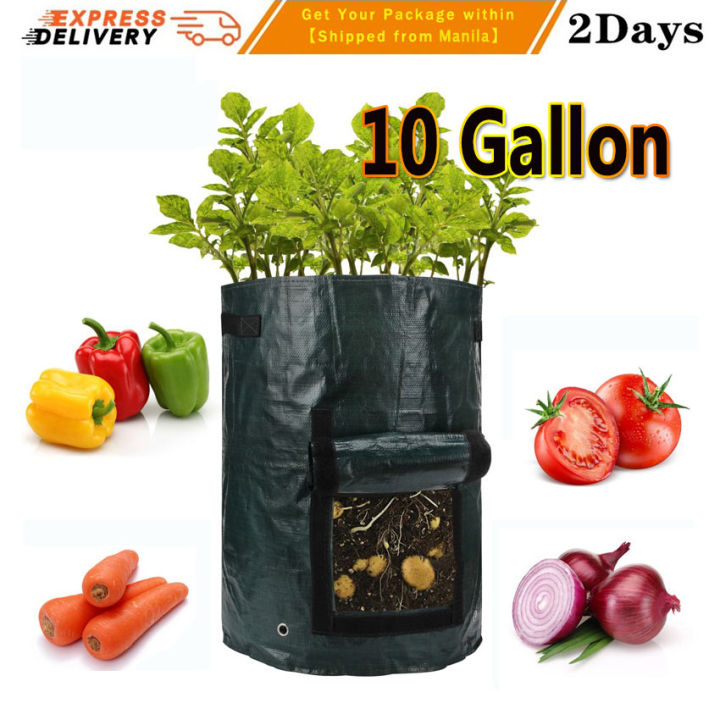 Potato Grow Bag -Twin Pack - Garden Express