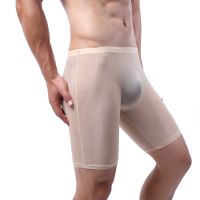 【YF】♞卐  CLEVER-MENMODE Boxers Men Silk Sheer Leg Underpants Penis See Through Shorts Panties