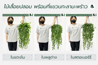 ไม้เลื้อยปลอม ไม้เลื้อยตกแต่ง ยาว 80 CM แบบแขวน  พร้อมกระถางกะลาใยมะพร้าว