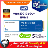 WDS100T3B0C NVME WD SSD BLUE 1TB SN570 By Vnix Group