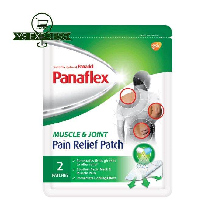 PANAFLEX Muscle & Joint Pain Relief Patch 2's Lazada