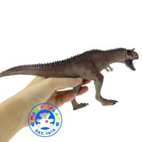 Munich Play - โมเดล ไดโนเสาร์ Ceratosaurus น้ำตาล ขนาด 27.00 CM (จากหาดใหญ่)