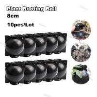 8cm Plant Rooting Box High Pressure Propagation Ball Grafting Device Garden Grafting Plant Root Controller Black x 10pcs WDAGTH