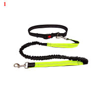 Adjustable Reflective Leash Traction Rope Pet Dog Running Belt Elastic Hands Freely Jogging Pull Dog Collar Metal D-ring Leashes