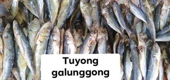 Galunggong Dried Fish 500G | Lazada PH
