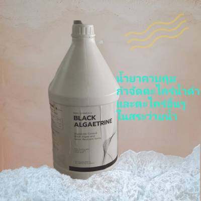 น้ำยาควบคุมและกำจัดตะไคร่น้ำดำ แบล็คแอลจีทริน Black Algaetrine ขนาด 3.8 ลิตร