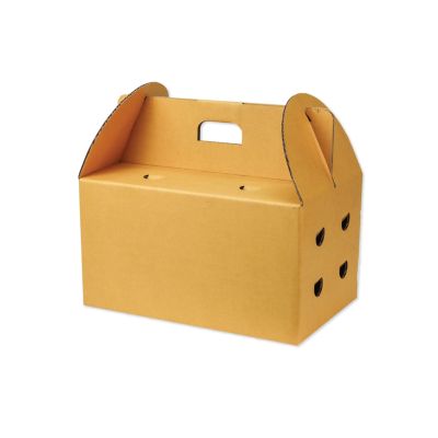 กล่องผลไม้หูหิ้ว กล่องอเนกประสงค์ กล่องผลไม้เจาะรู กล่องหูหิ้ว Size S,M กระดาษ 3 ชั้น Pack 10 ใบ ราคาถูก