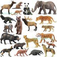 ของเล่นโมเดลหุ่น the zoon animals 20 ชุด QC7310955