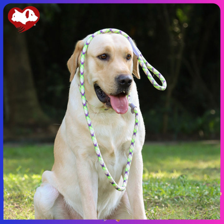 เชือกถัดจูงสุนัขสะท้อนแสงสำหรับสุนัขขนาดกลางและขนาดใหญ่เชือกล่ามคอสำหรับหัดเดิน-pet-ปรับได้150ซม