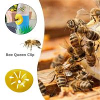 LIGTH 10pcs Bee Beehive Garden Home Insects Killer Hornets Catcher Wasp Trap Bugs Funnel