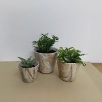 C&amp;C HOME Plant Pot Printed Marble Pattern  (3 pcs/ set) กระถางต้นไม้ กระถางหินอ่อน ของตกแต่งบ้าน กระถางปลูกต้นไม้ กระถางลายหินอ่อน