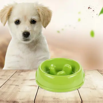 Slow Feeder Dog Bowl Anti-Bloat No Gulp Puppy Pet Cat Interactive Feeding  Bowl~