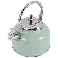 2.5L Whistling Kettle for Gas Stove All Stovetops Stainless Steel Coffee Tea Kettle Gas Teapot