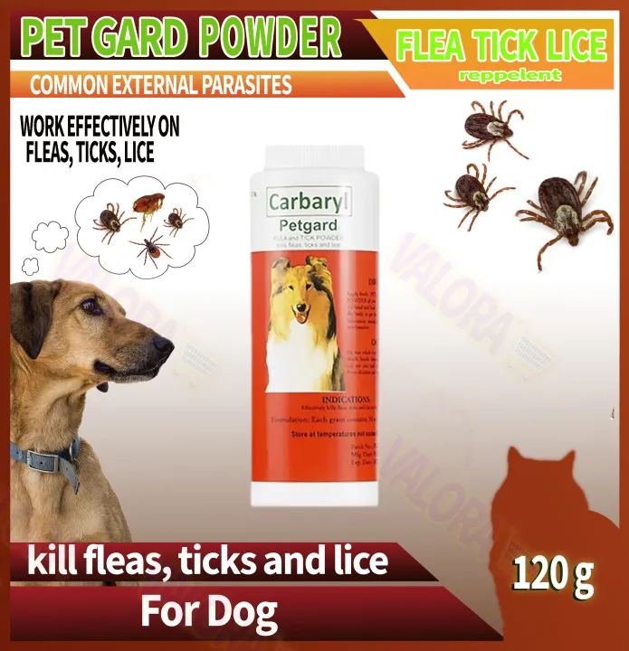 REPELLENT POWDER FOR DOG Anti LICE TICKS FLEAS 120g Lazada PH