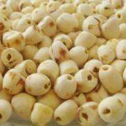 GÓI TO 500G Hạt Sen bắc sấy khô dùng để nấu chè, siêu rẻ, ngon, chất