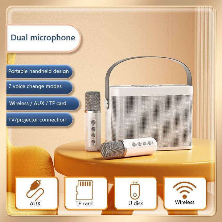 Ys219 Portable Wireless Karaoke Dual Microphone 5