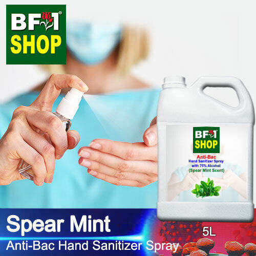 Anti Bacterial Hand Sanitizer Spray with 75 Alcohol mint Spear