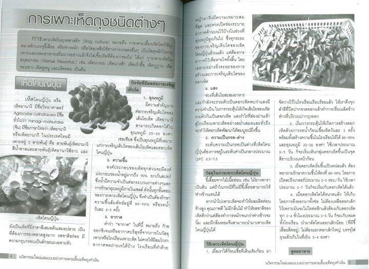 หนังสือการเกษตร-นวัตกรรมใหม่-และแบบอย่างการเพาะเลี้ยงเห็ดถุงทำเงิน-จากคนที่สำเร็จ