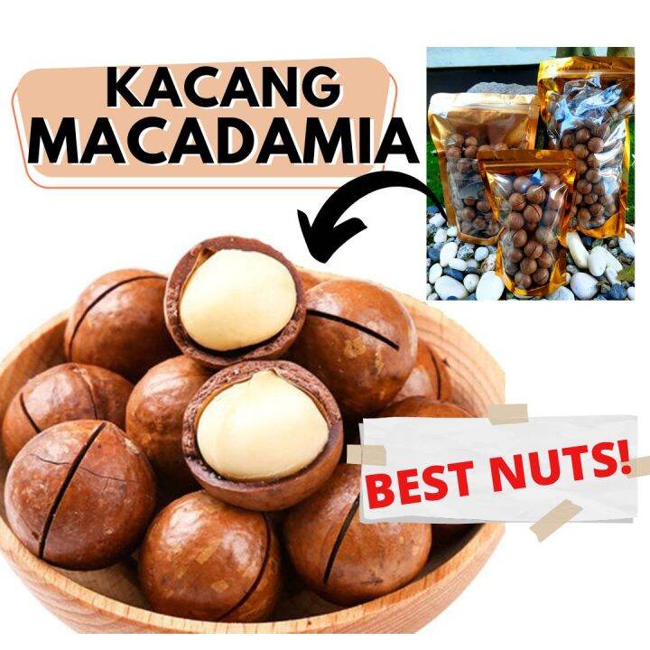 MACADAMIA NUTS DRY ROASTED Lazada