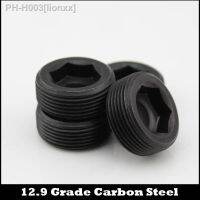 M26 M27 M26x1.5 M26x1.5 M27x1.5 M27x1.5 PG1.5 12.9 Grade Carbon Steel Pipe Oil Line Plug Throat Tap Hex Hexagon Socket Set Screw