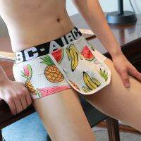 【YF】℡  Crotch Cover Front Shorts Men Underpants Silk Briefs Breathable Cartoon Print A50