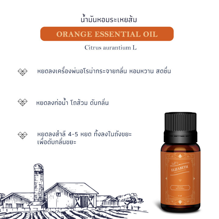 น้ำมันหอมระเหย-ส้ม-orange-essential-oil-10-30-ml-น้ำหอมอโรม่า-น้าหอมเครื่องพ่นอโรม่า