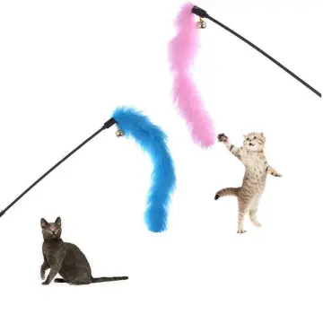 Shop 1pc Pet Toy Random Color Catcher Teaser Toy For Pet Feather Wand Stick  For Cat with great discounts and prices online - Jan 2024
