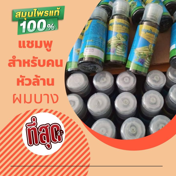 แชมพูแก้หัวล้านจากสมุนไพรไทย-ลดผมร่วง-ผมบาง-เชื้อราหนังศรีษะ-แชมพูสมุนไพรคุณยาย