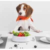 PETKIT FRESH Pet Smart Bowl By Pando Smart Life ชามอาหารสัตว์เลี้ยงอัจฉริยะ ชามอาหารแมว ถ้วยให้อาหารสัตว์