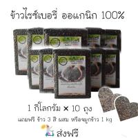 ข้าวไรซ์เบอรี่ 10 กิโลกรัม มีของแถม จมูกไรซ์เบอรี่ 1kg เป็นการปลูกแบบเกษตรอินทรีย์แท้ 100%