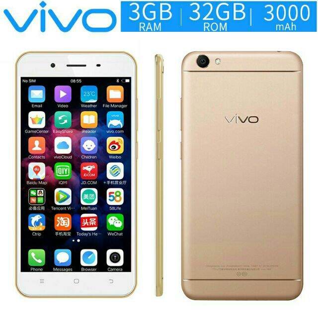 y66 vivo