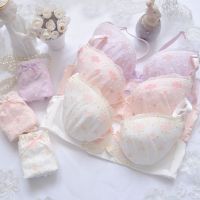 New Japanese Two-Tone Embroidered Thin Cup Girl Cute Gathered y Lingerie Set Set