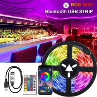Rgb 5050 Usb Led Strip 30M Bluetooth Control 5V White Led Light Led Wall Room Flexible Ribbon Tv Desktop Screen Backlight Tape