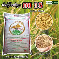 พันธุ์ข้าว มะลิ105 ข้าวหนัก , กข15 จากศูนย์วิจัยข้าวสุรินทร์ 19กิโลกรัม ข้าวปลูก