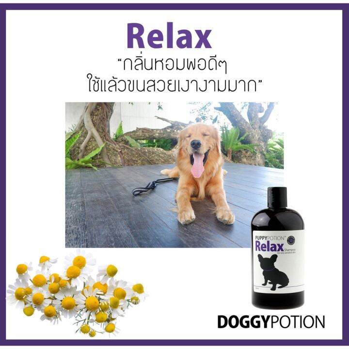 puppy-potion-relax-shampoo-แชมพูสำหรับสุนัข-สบู่อาบน้ำสุนัข-สูตรออร์แกนิค-500ml